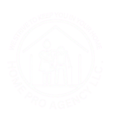 Home Pro Agency Logo